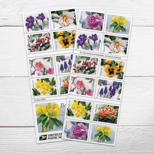 $489 Get 3000 Forever Stamps, 100+ Styles Available