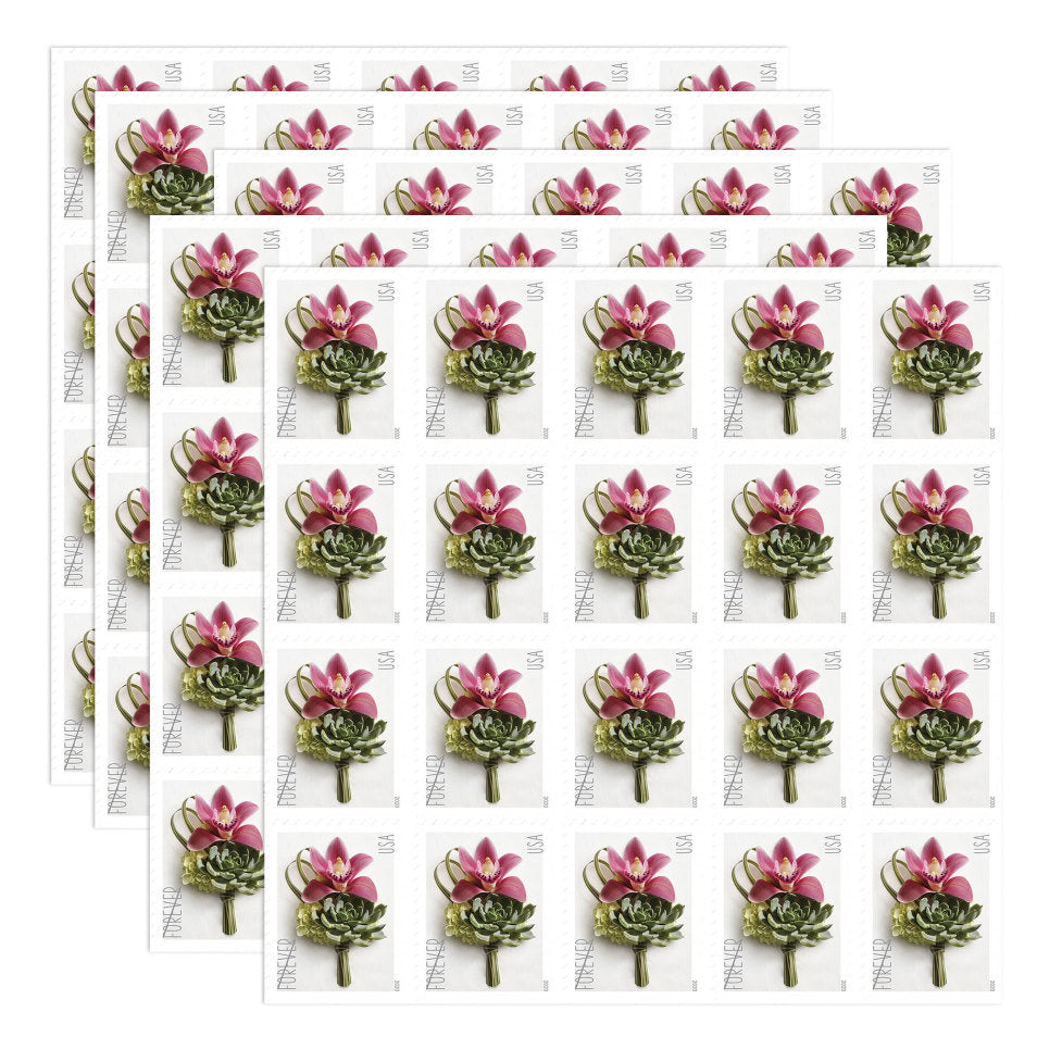 All Time Low (Price): $1200 Get 10000 Forever Stamps, More Than 100 Styles to Choose