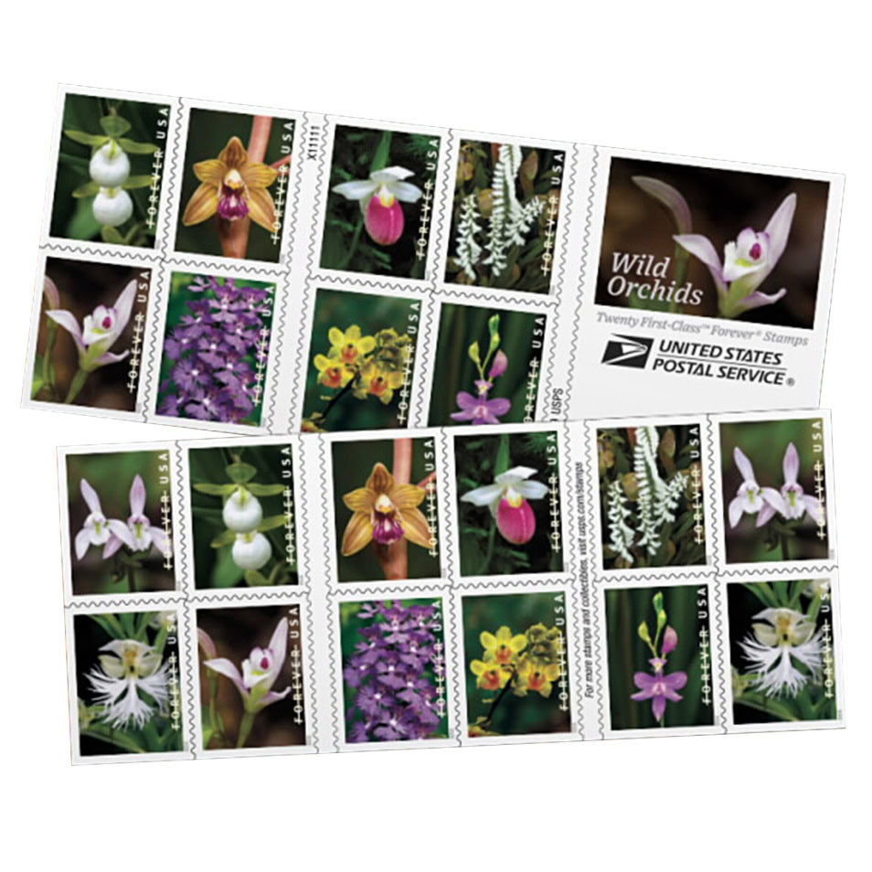Special Price: $198 Get 1000 Forever Stamps, Various Styles On Sale, can Mail Letters, Envelopes and Others
