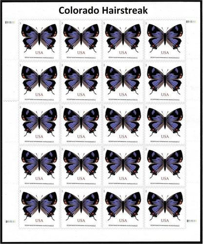 NOT Forever Stamp-$1.27 Stamps 2021 Colorado Hairstreak Butterfly – Non-Machinable Surcharge, First-Class Rate